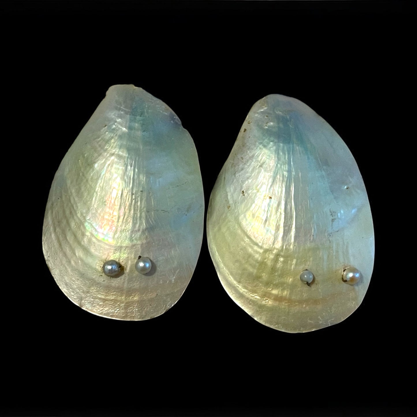 Coppia di fibbie da scarpa in madreperla ed argento, fine ‘800 - primo ‘900