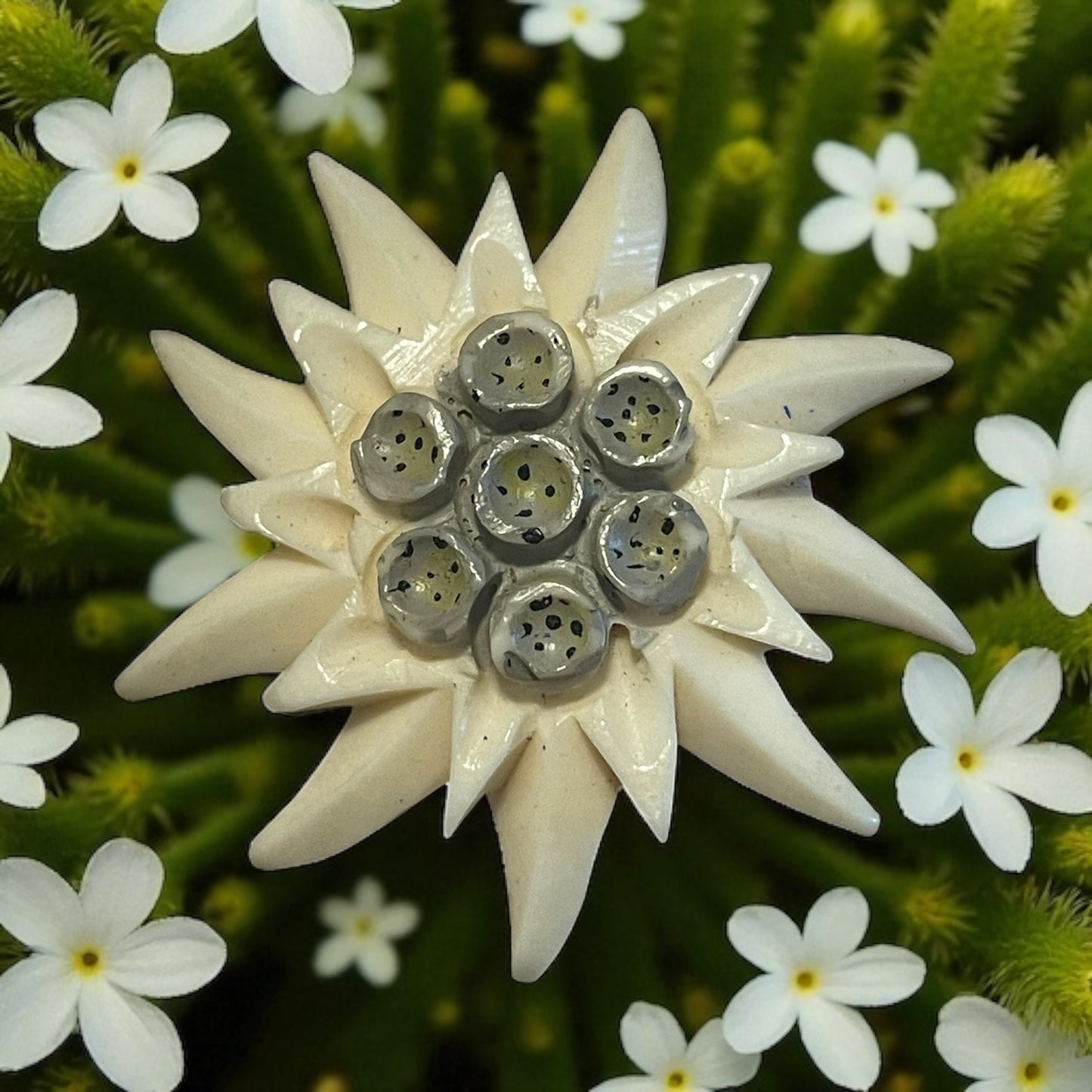 Spilla in galalite Edelweiss stella alpina, anni 40 - 50