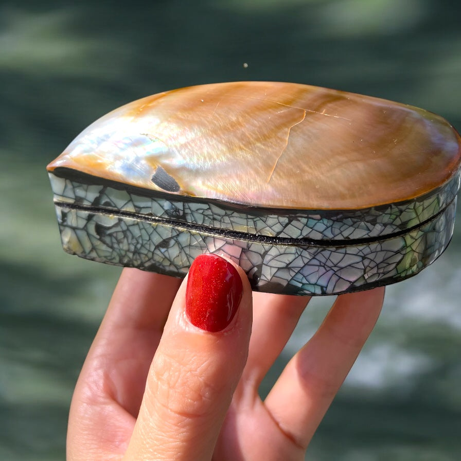 Scatolina porta gioie vintage con valva di ostrica perlifera