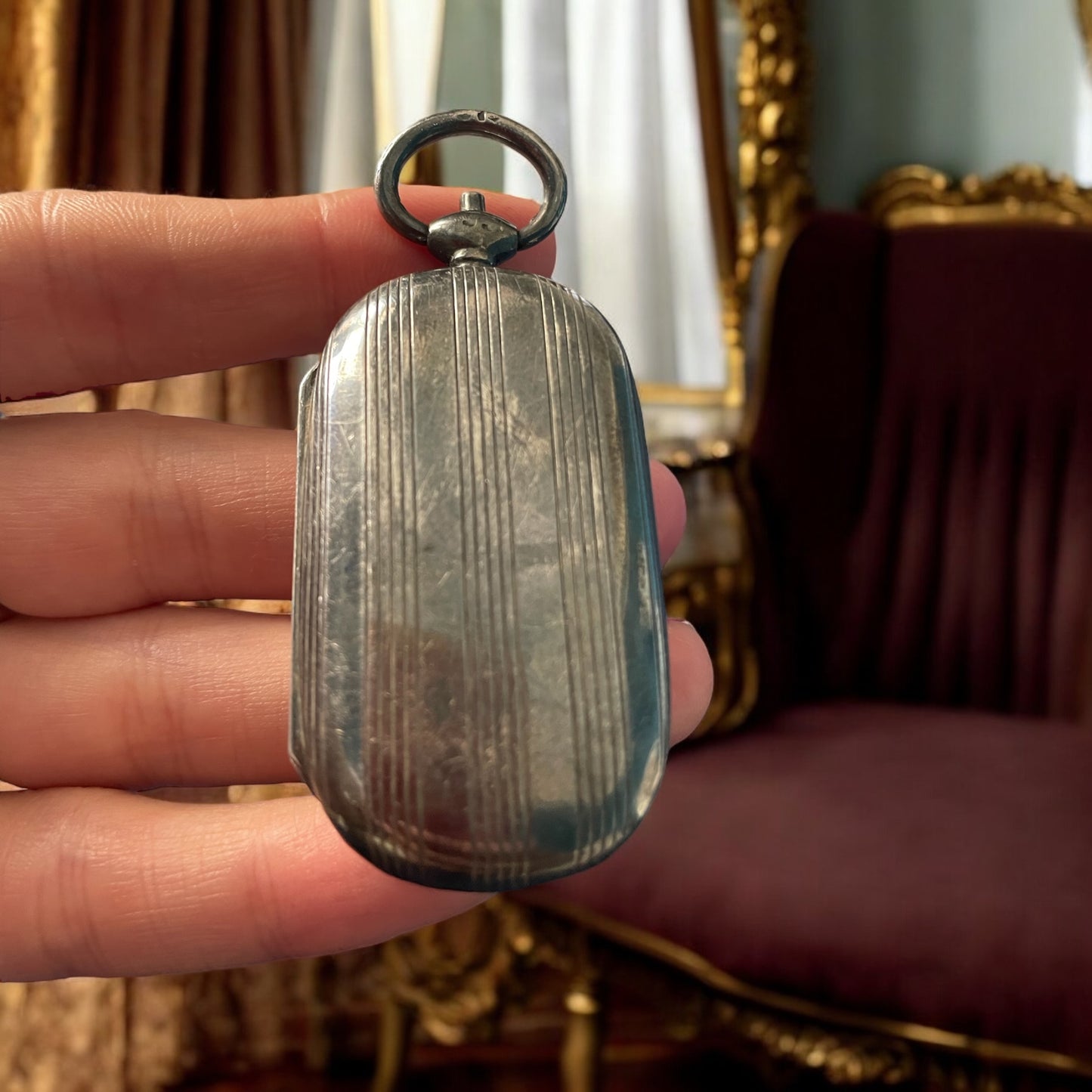 Porte-Louis da tasca o da chatelaine, fine ‘800, argento punzone Testa di Minerva