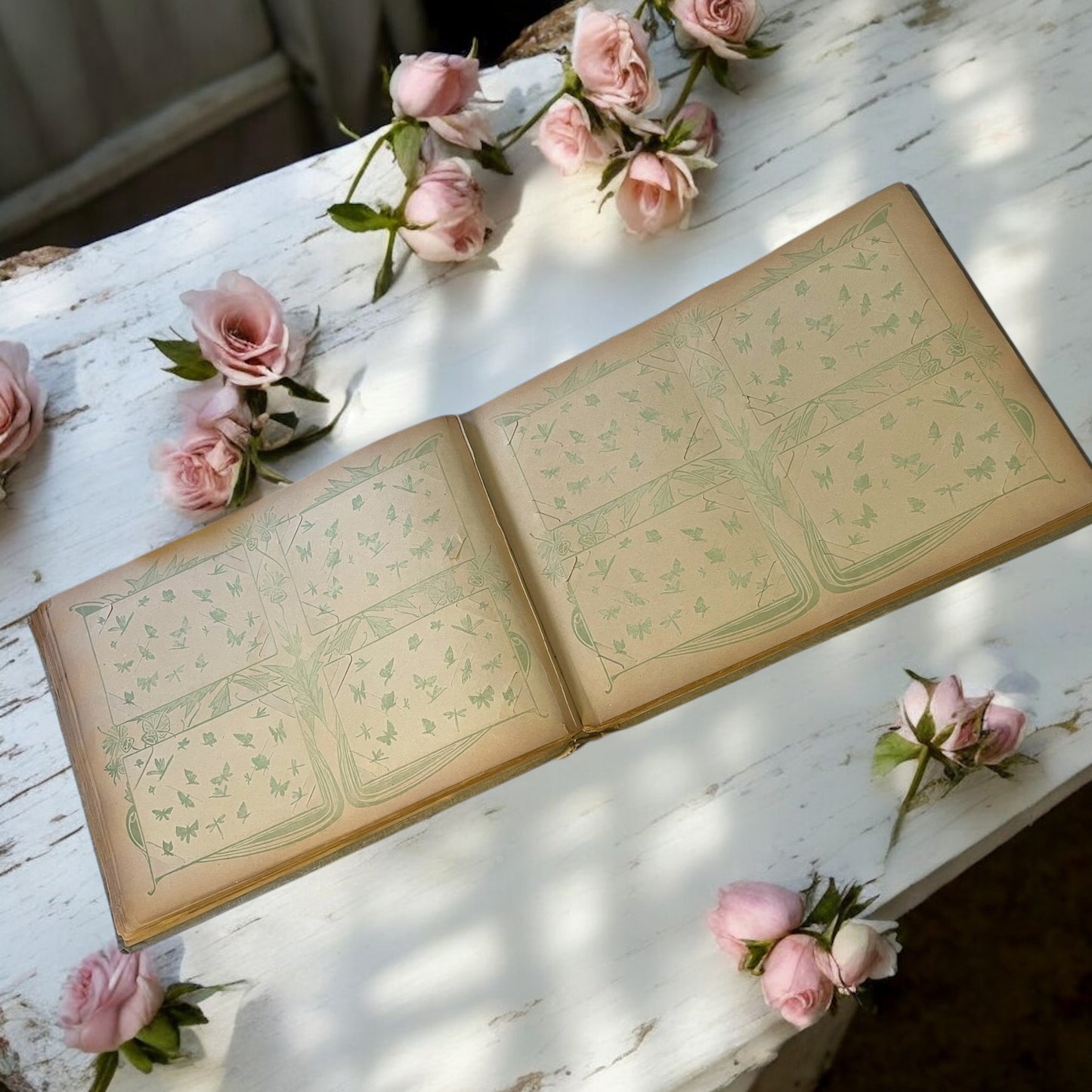 Album per cartoline, fine ottocento Art Nouveau con decorazione crisantemi