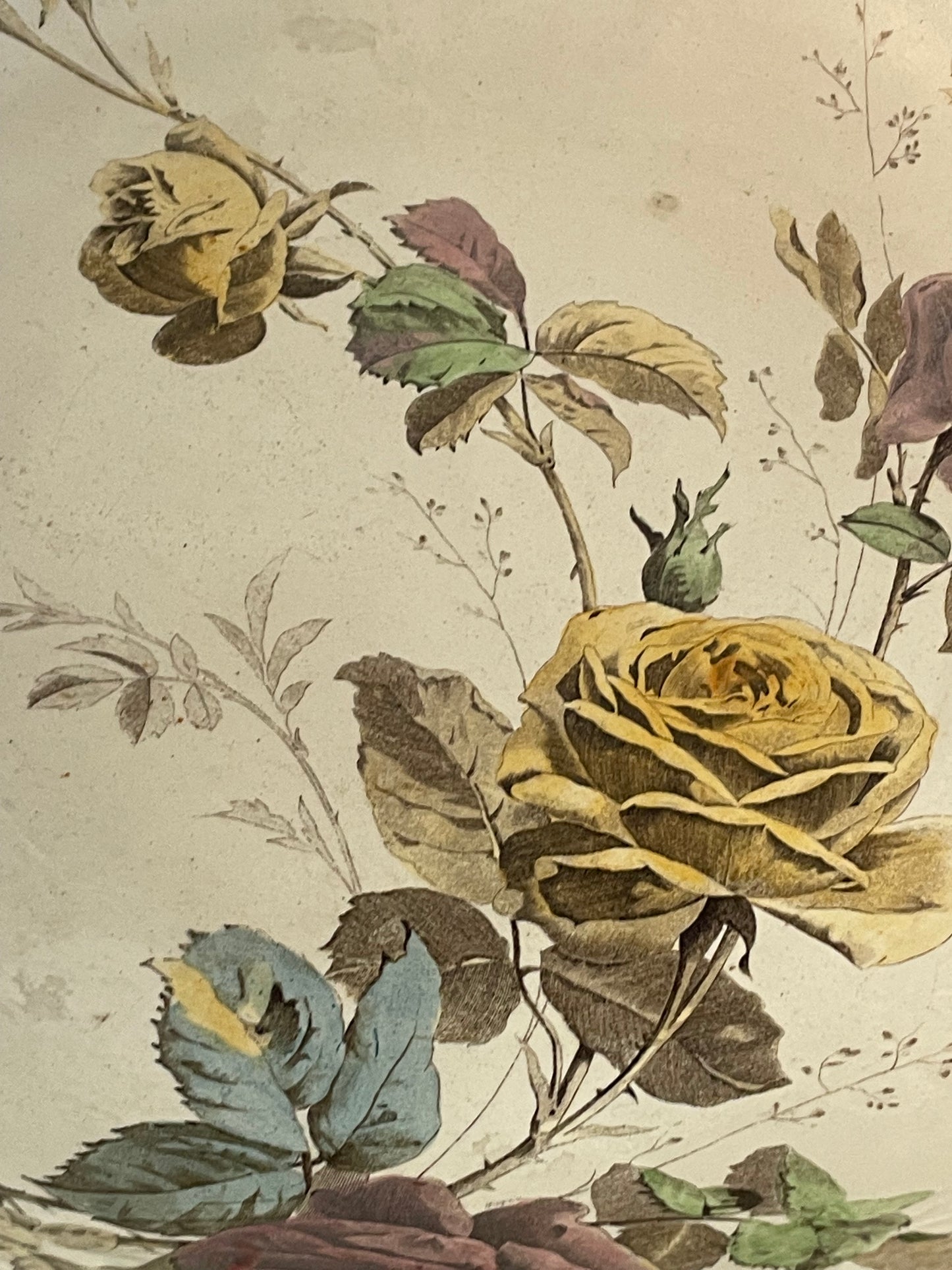 Catino in terraglia forte SCI Laveno collezione Rosas, fine 800 primo 900.