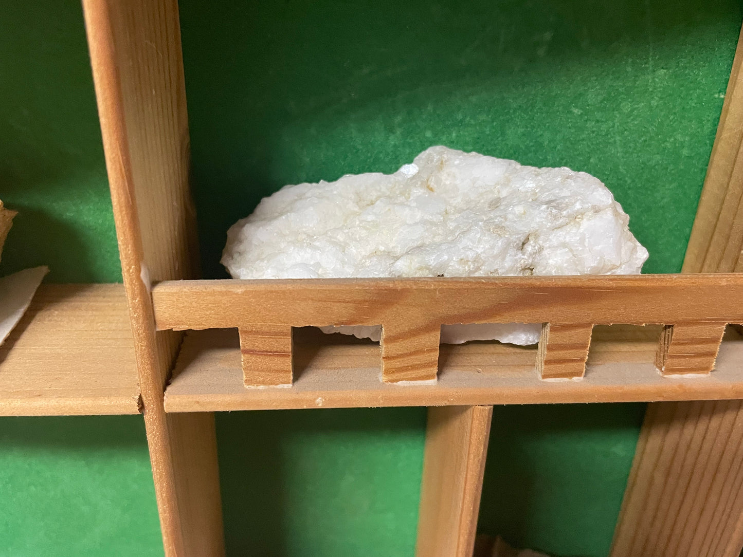 Bacheca con minerali e fossili, collezione cabinet des curiosites anni ‘80