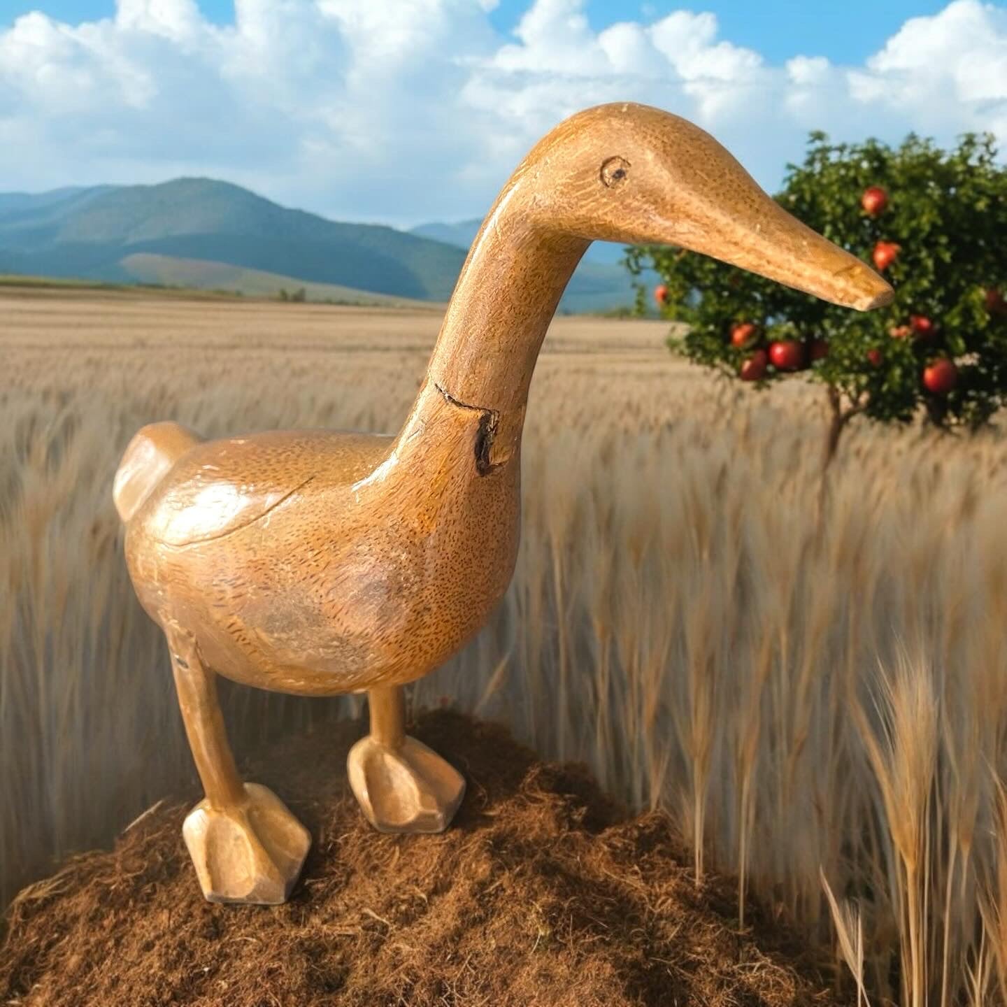 Anatra giocattolo legno antica