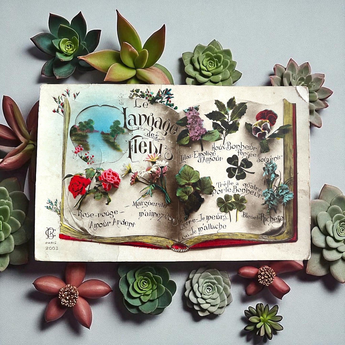 Collezione 11 cartoline linguaggio dei fiori e delle foglie, anni ‘20-‘40