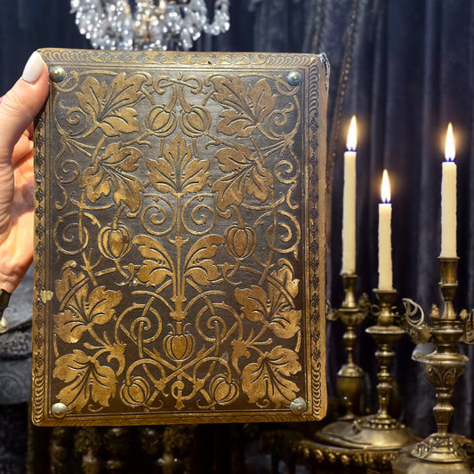 Album tardo ‘800 con 25 antiche fotografie coeve