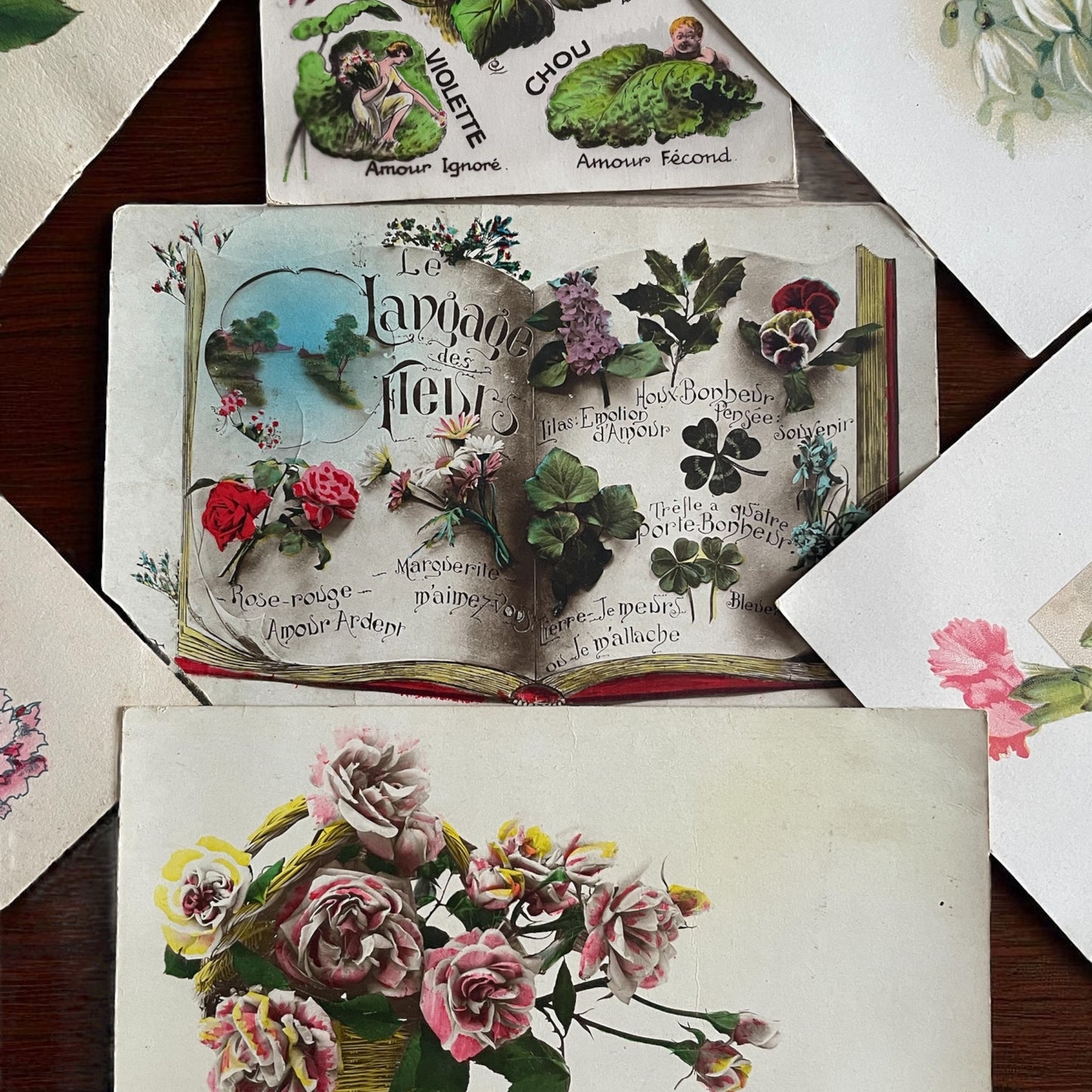 Collezione 11 cartoline linguaggio dei fiori e delle foglie, anni ‘20-‘40