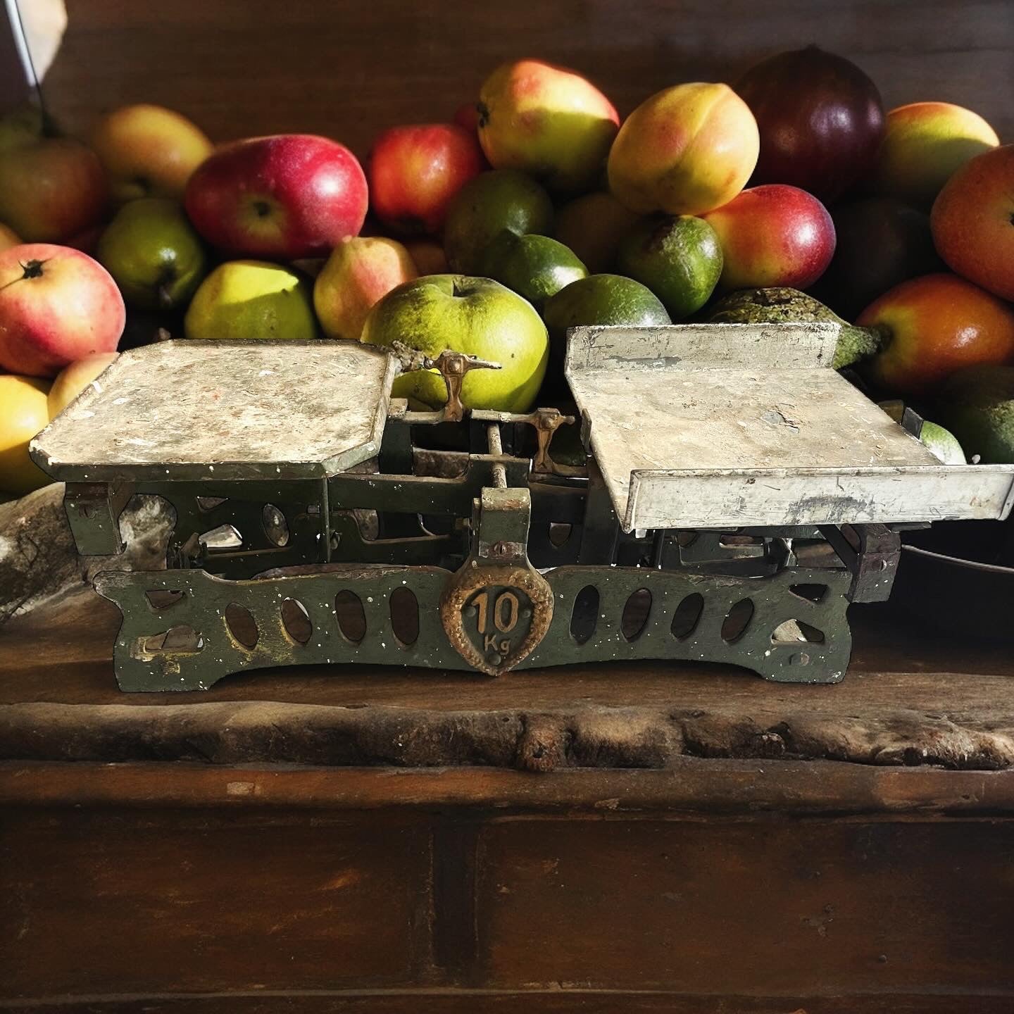 Old Dutch reed scales