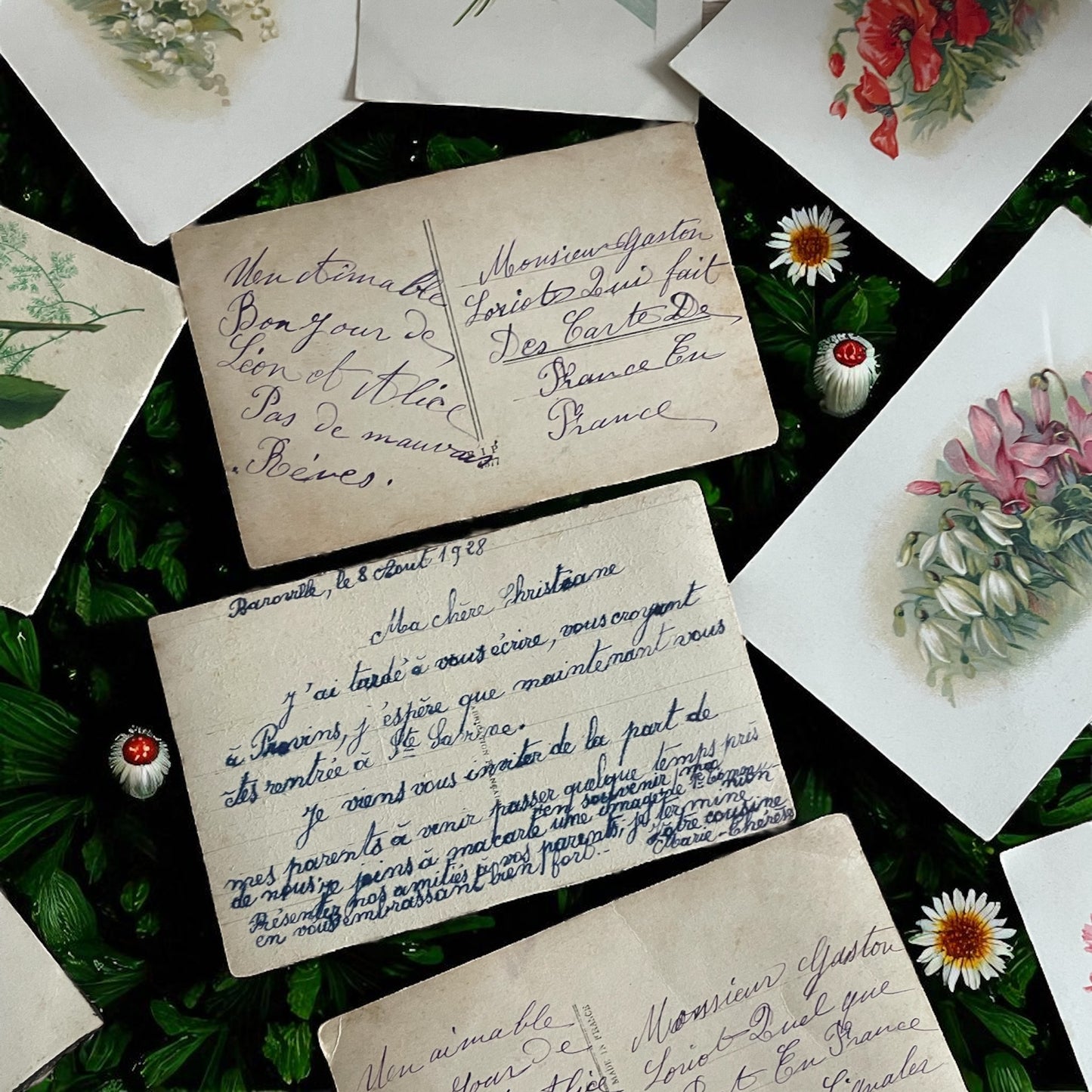 Collezione 11 cartoline linguaggio dei fiori e delle foglie, anni ‘20-‘40
