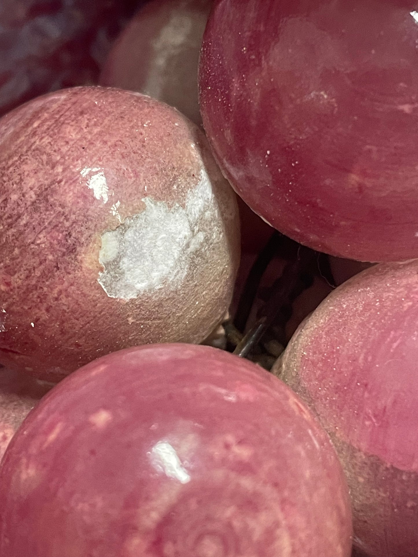 Grande grappolo d’uva in alabastro dipinto, anni ‘50 manifattura toscana