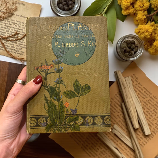 Atlante di naturopatia del 1894, S. Kneipp, 41 cromolitografie botaniche