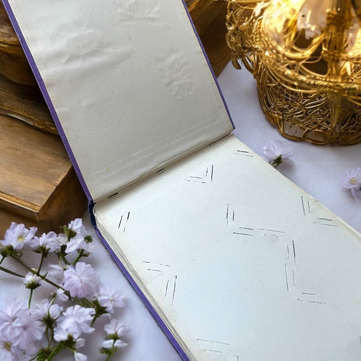 Album vuoto Art Nouveau viola con peonie, fine ‘800 - primo ‘900