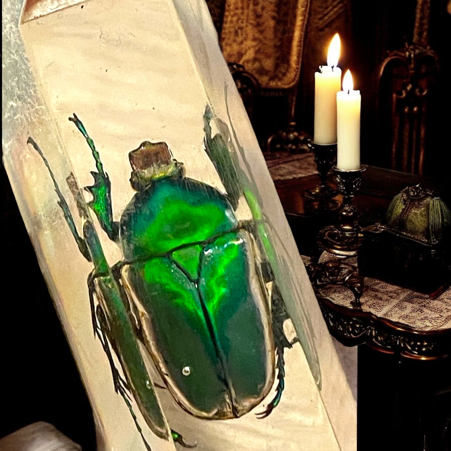 Esclusivo set poggia coltelli con veri scarabei