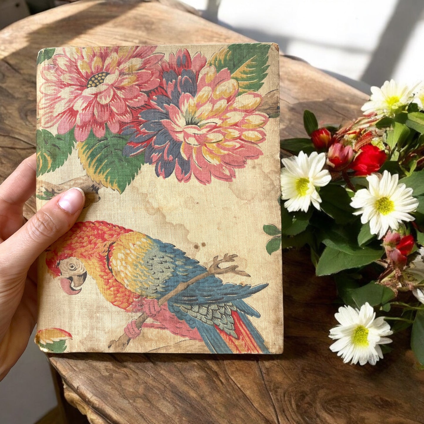 Coppia album di studio con stampe farfalle e animali esotici, dall’800 al ‘900