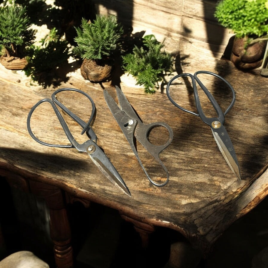 Tris antiche forbici, due da bonsai, Giappone