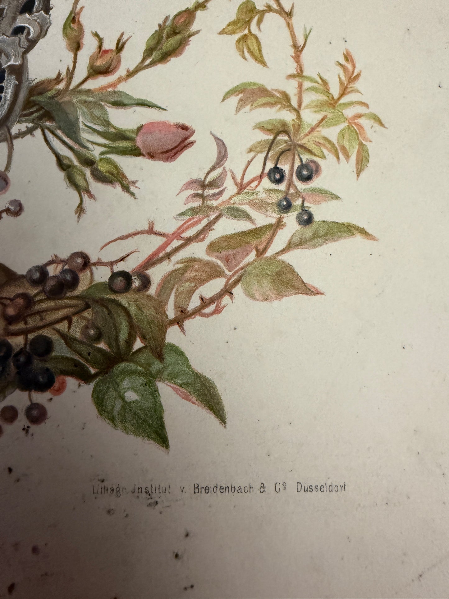 Antico album di canti e poesie Liederleben, Germania fine ‘800 con ricche cromolito