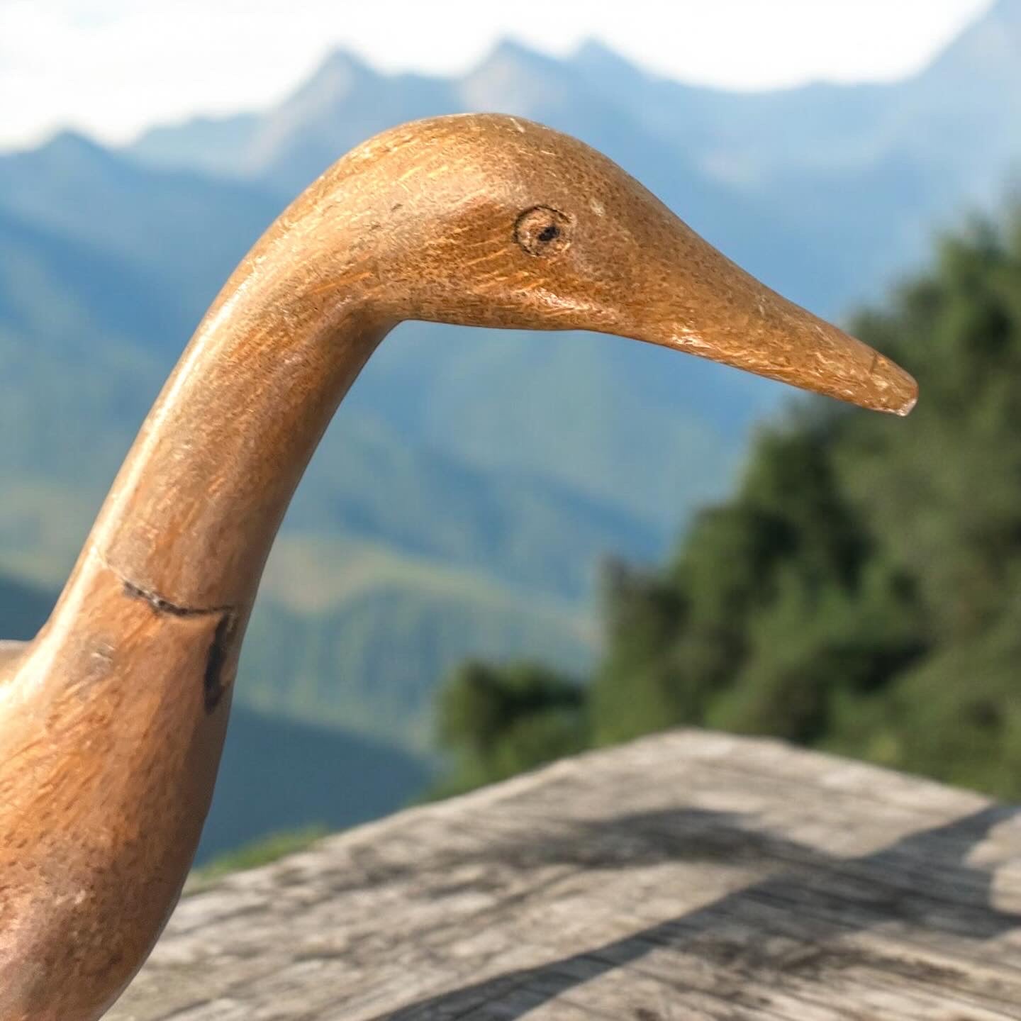 Anatra giocattolo legno antica