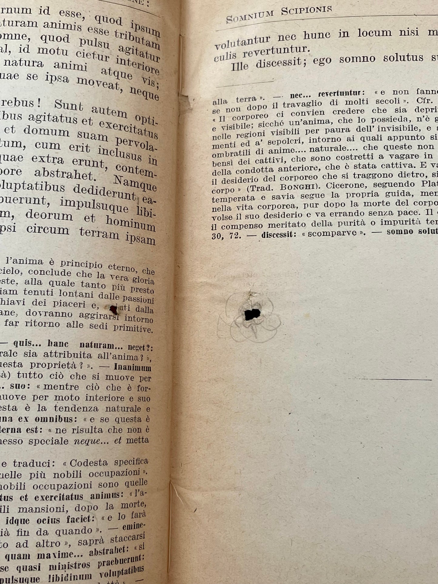 Somnium Scipionis con note di Ottolini, edizione con marca da bollo del Ministero delle Corporazioni del Regime, 1940