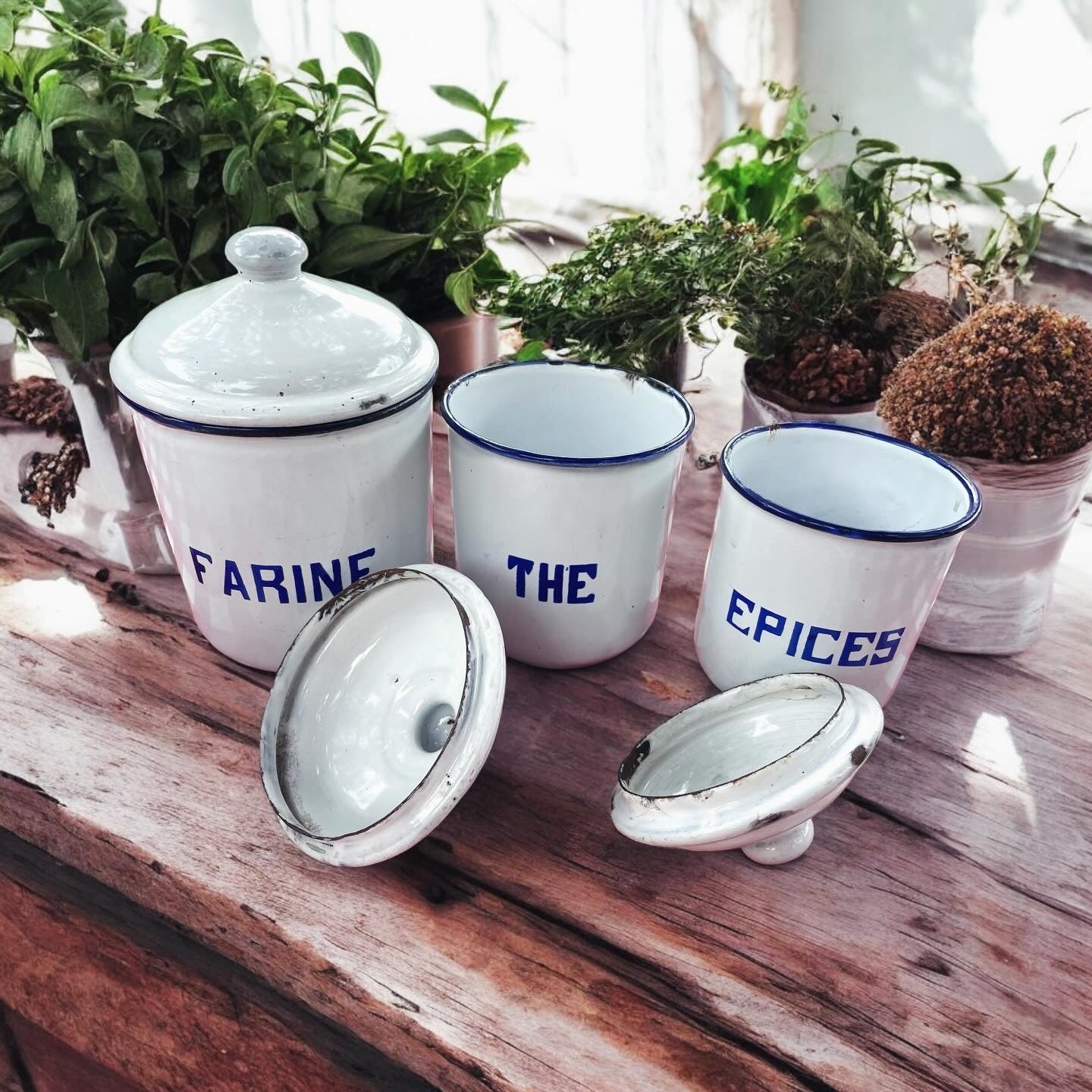 Set of 6 antique enamelled Apothecary vases