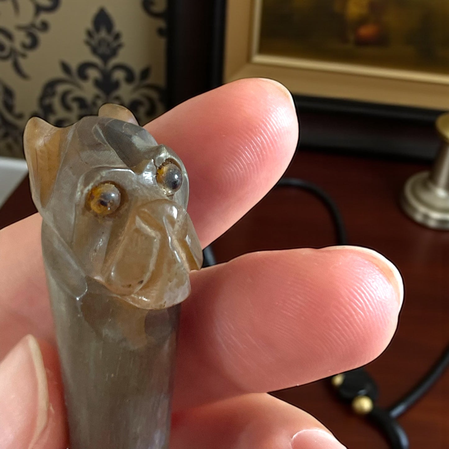 Scultura cane bulldog in corno, manico vittoriano da ombrellino
