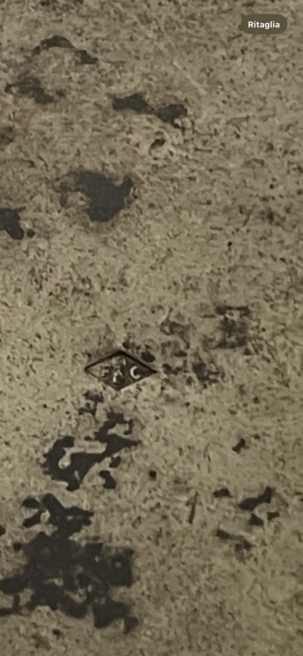 Scrigno porta gioielli Art Nouveau, con lamina argentata e interno in seta rosa antico