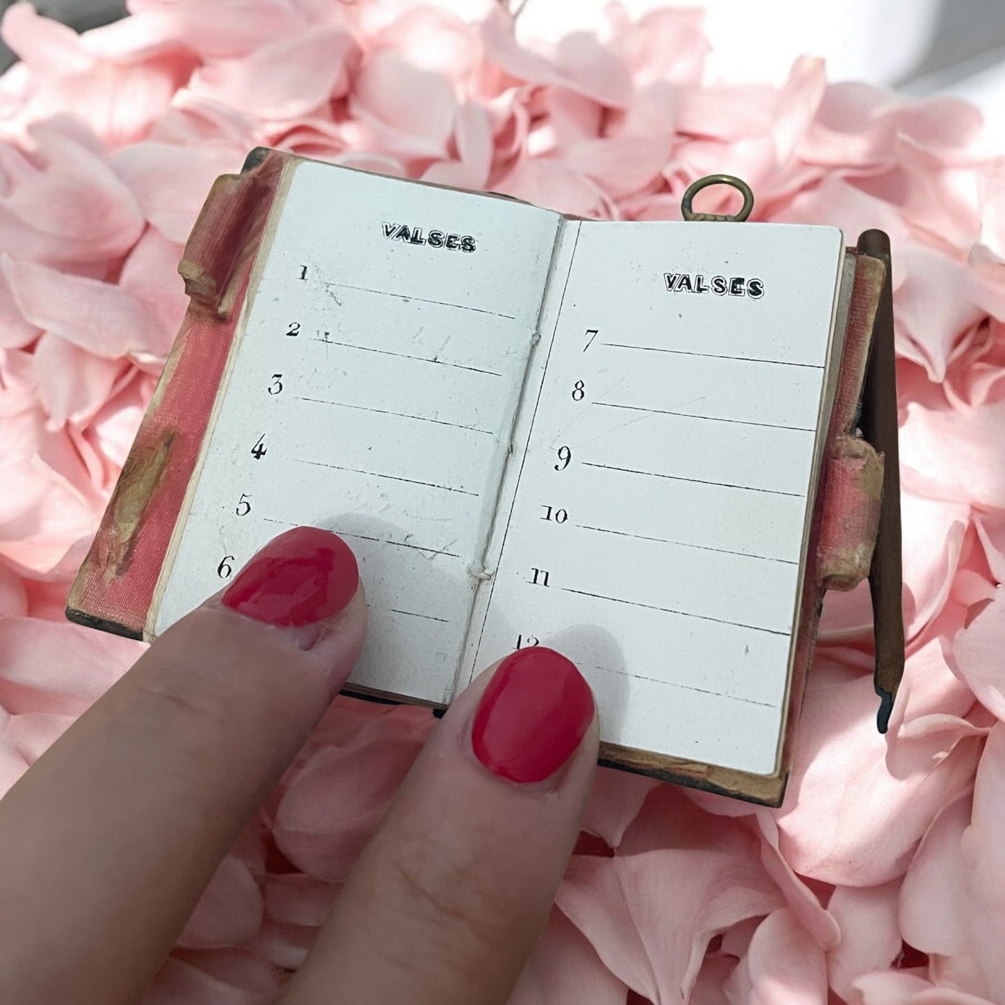 Carnet de bal fine ‘800, con scudo d’argento per iniziali, da chatelaine