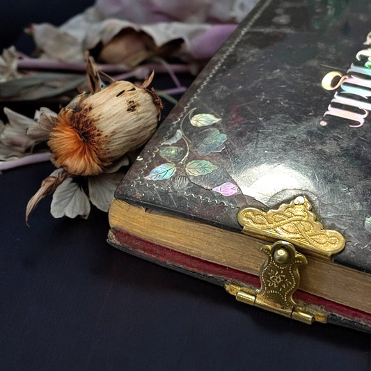 Libro d’amicizia oggetto sentimentale ottocentesco, taccuino madreperla