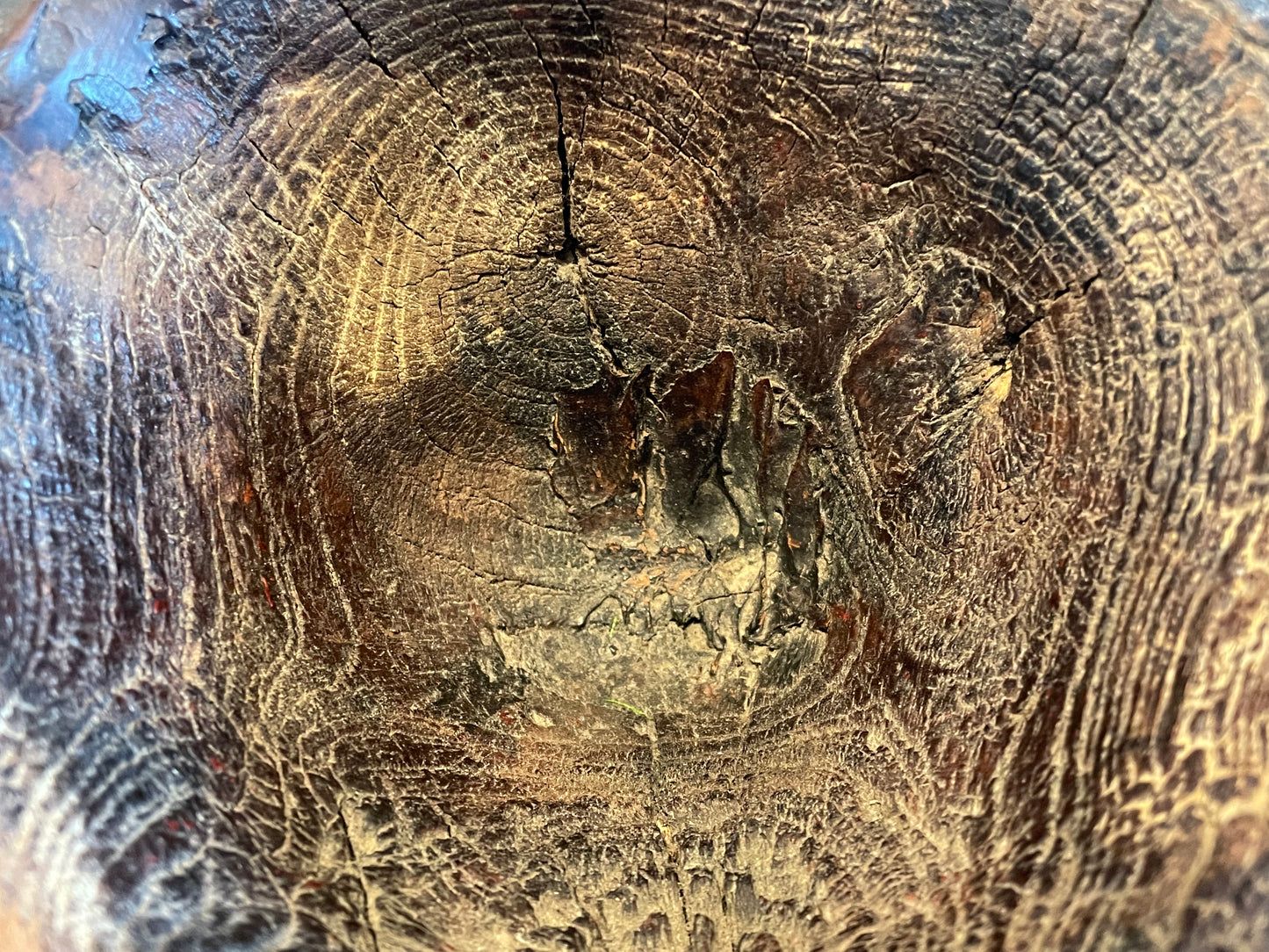 Mortaio da sale, provenienza Puglia, prima metà ‘800 in unico blocco ligneo