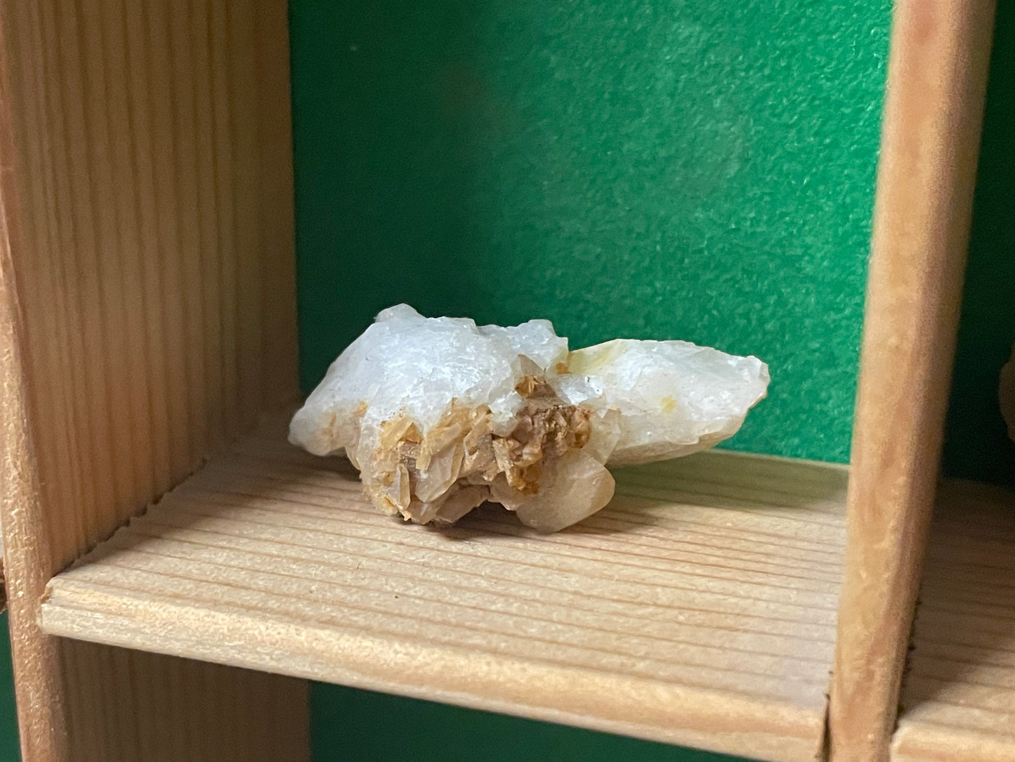 Bacheca con minerali e fossili, collezione cabinet des curiosites anni ‘80