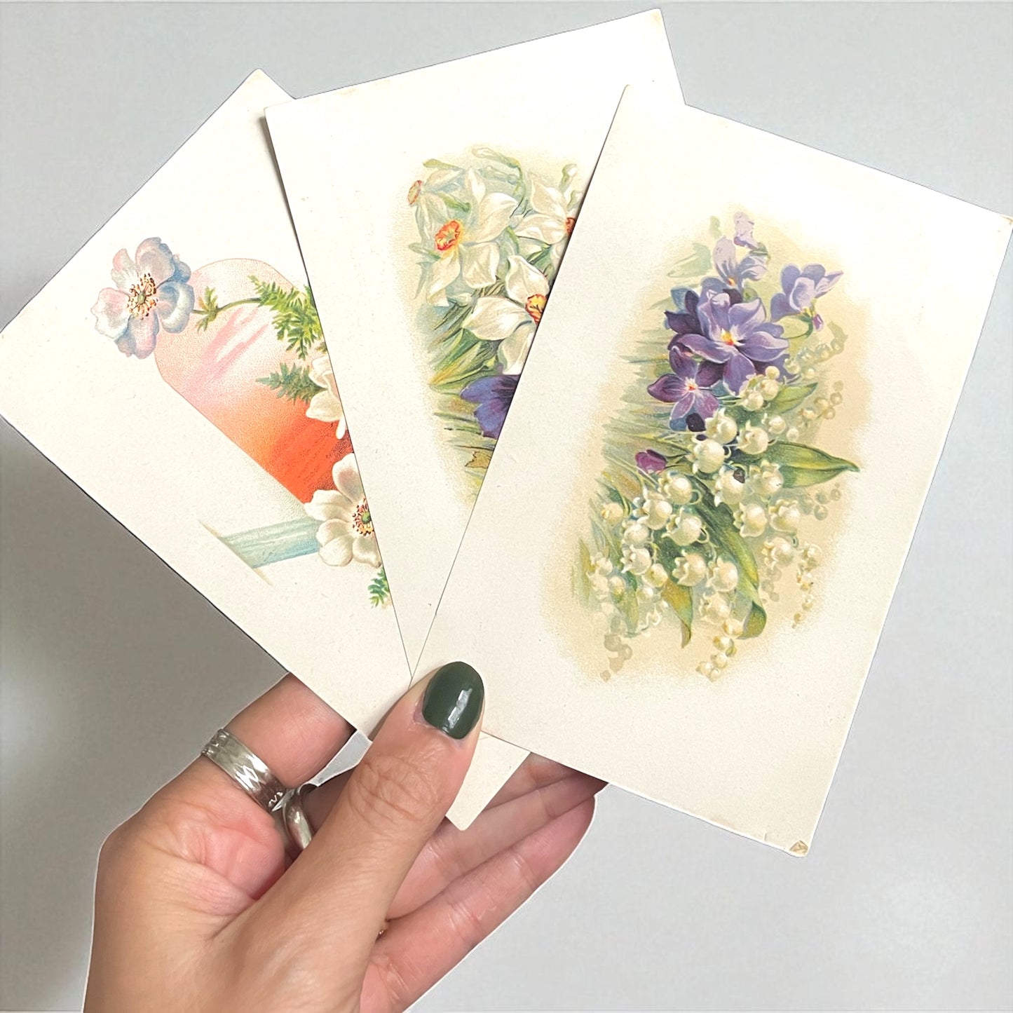 Collezione 11 cartoline linguaggio dei fiori e delle foglie, anni ‘20-‘40