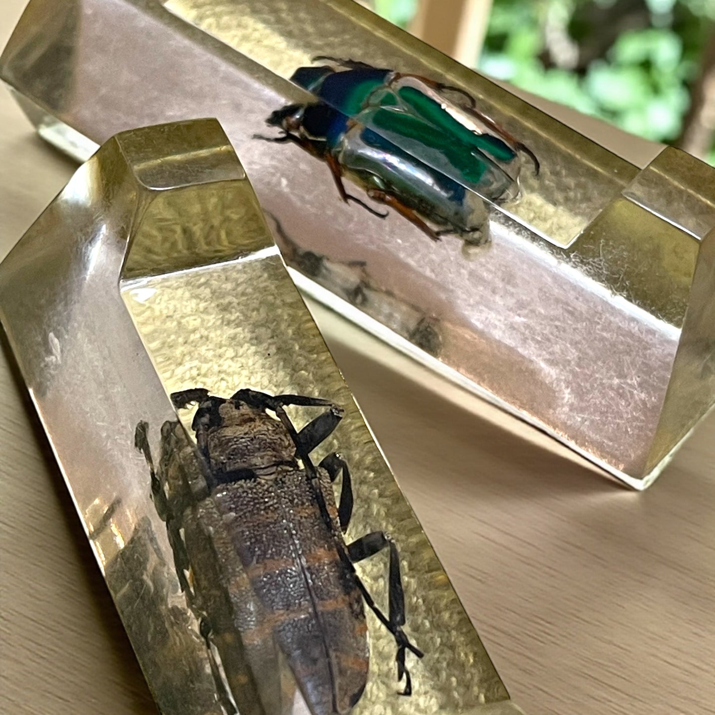 Set 4 poggia coltelli francesi con autentici insetti incapsulati, anni ‘60 Wunderkammer