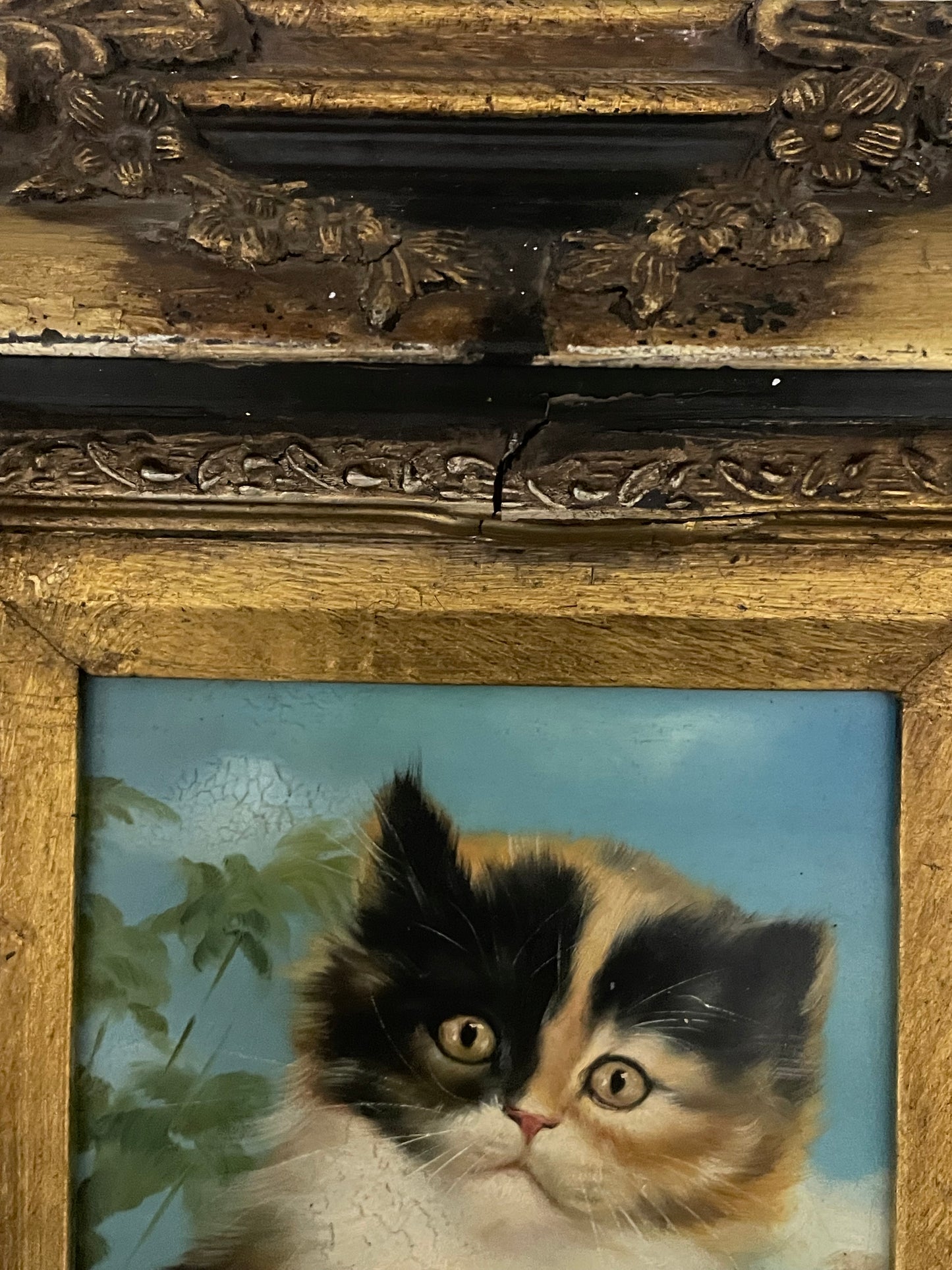 Dipinto ad olio gattino anni ‘40 in cornice tardo ‘800