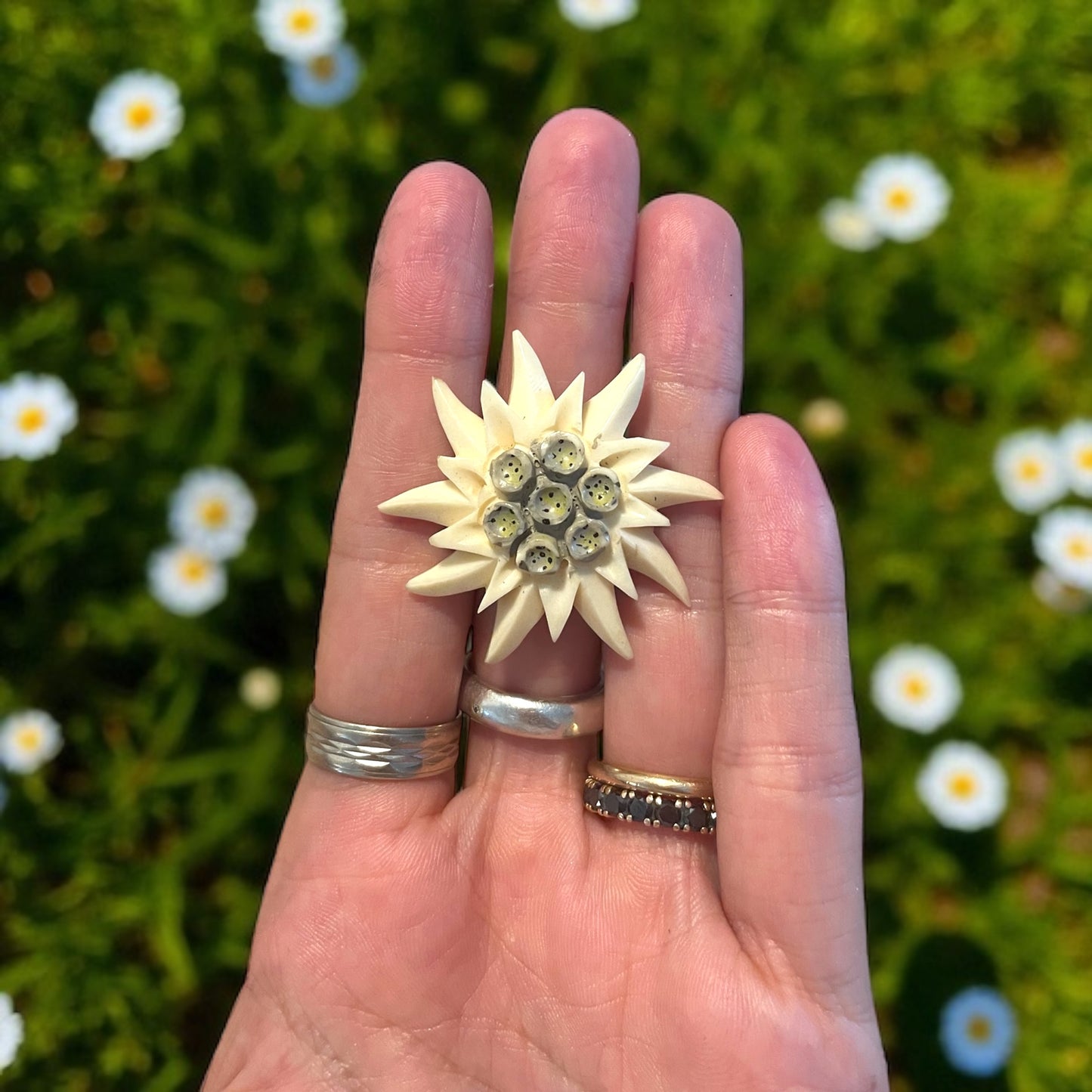 Spilla in galalite Edelweiss stella alpina, anni 40 - 50