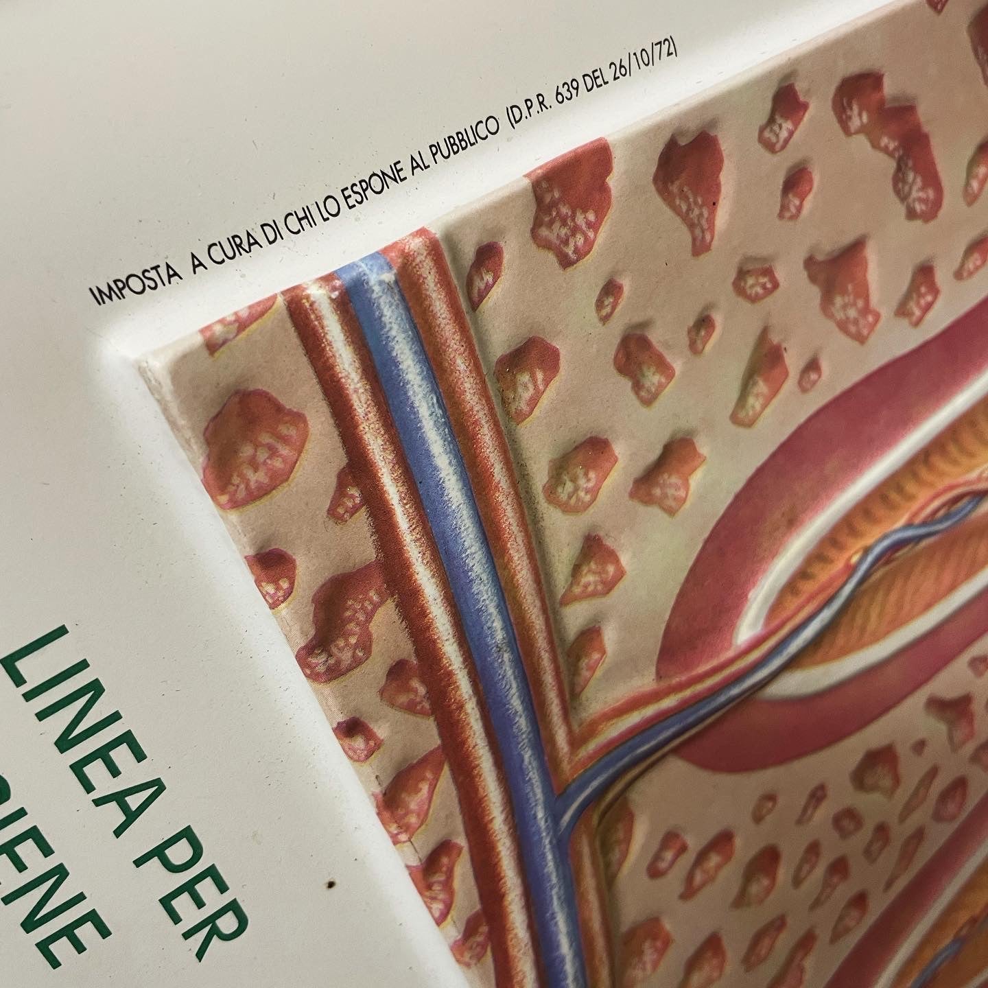 Pair of 70's dentist office panels