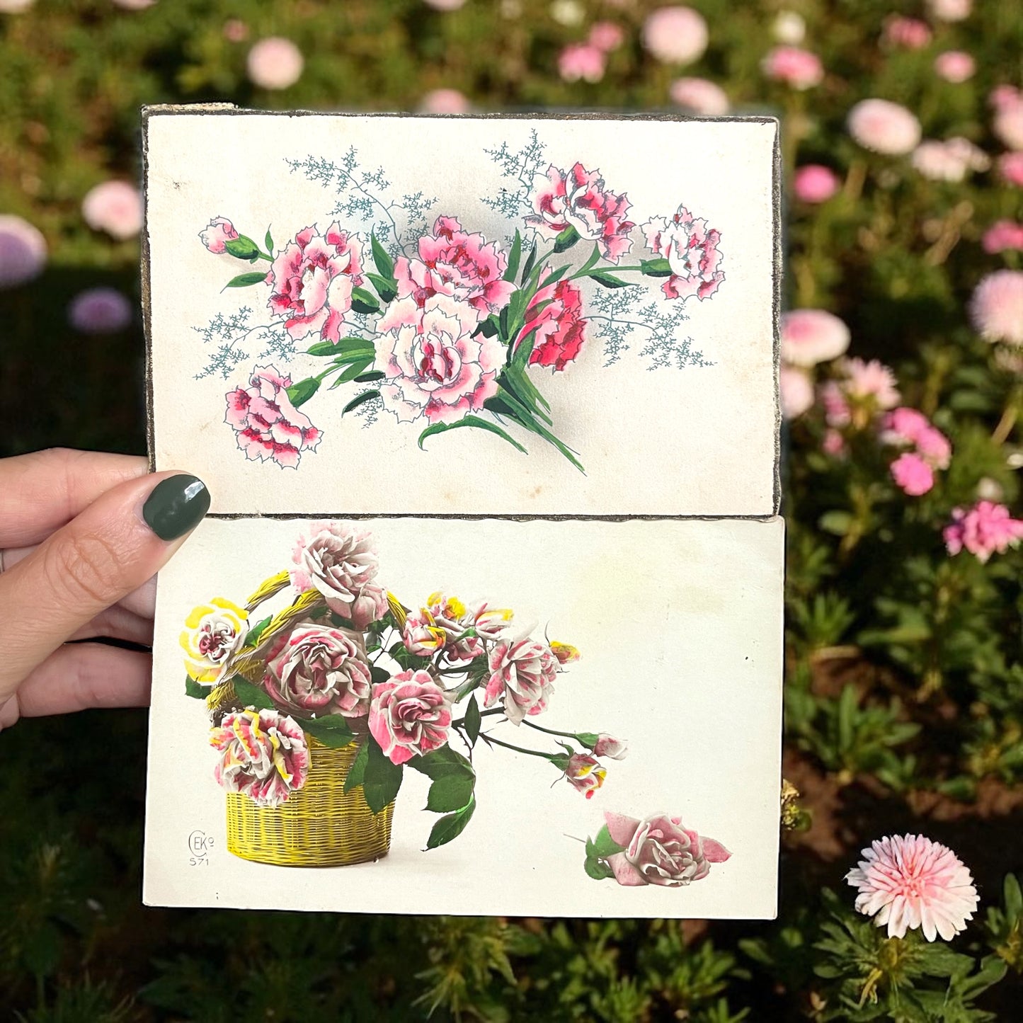 Collezione 11 cartoline linguaggio dei fiori e delle foglie, anni ‘20-‘40
