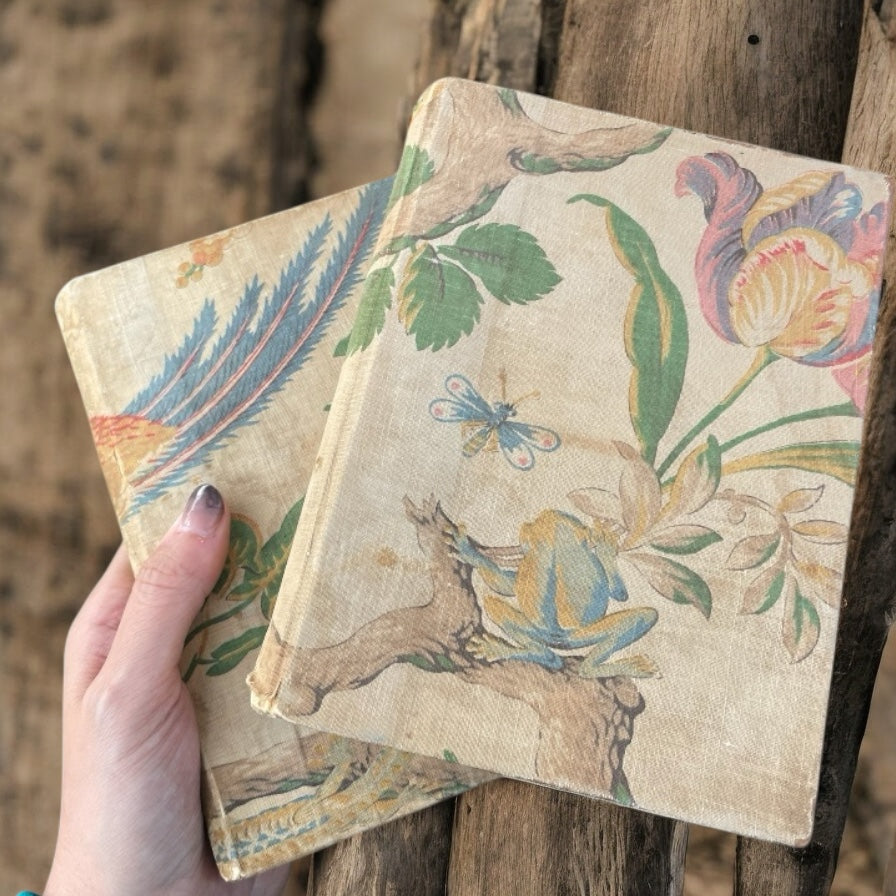 Coppia libri con antiche stampe uccelli e pesci 85 pz