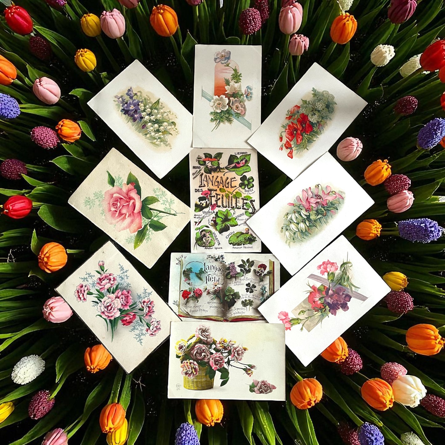 Collezione 11 cartoline linguaggio dei fiori e delle foglie, anni ‘20-‘40