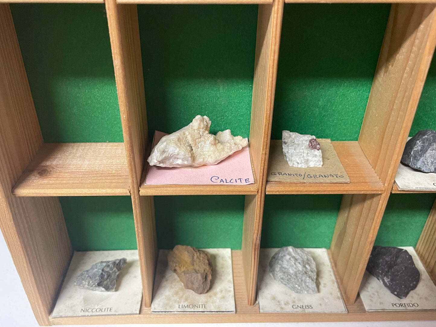 Bacheca con minerali e fossili, collezione cabinet des curiosites anni ‘80