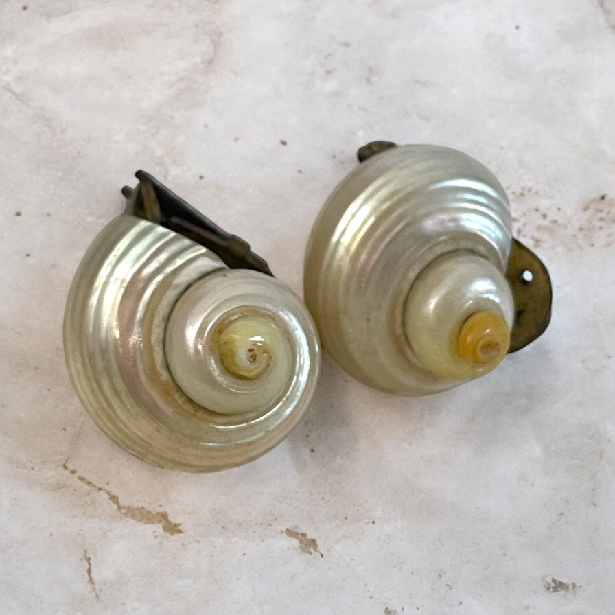 Splendidi orecchini, anni 40 a clip realizzati con incastonamento di vere conchiglie