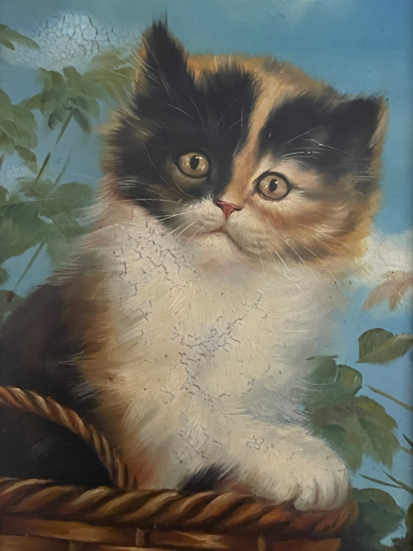 Dipinto ad olio gattino anni ‘40 in cornice tardo ‘800
