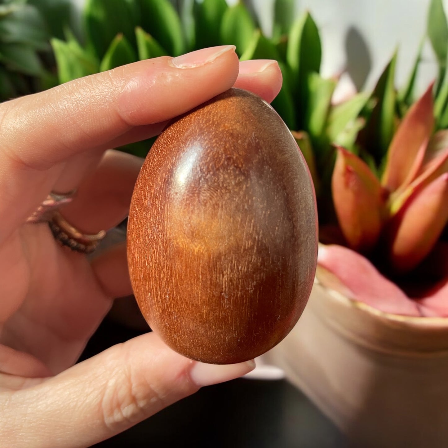 Campionario di essenze lignee, 12 uova su vassoio