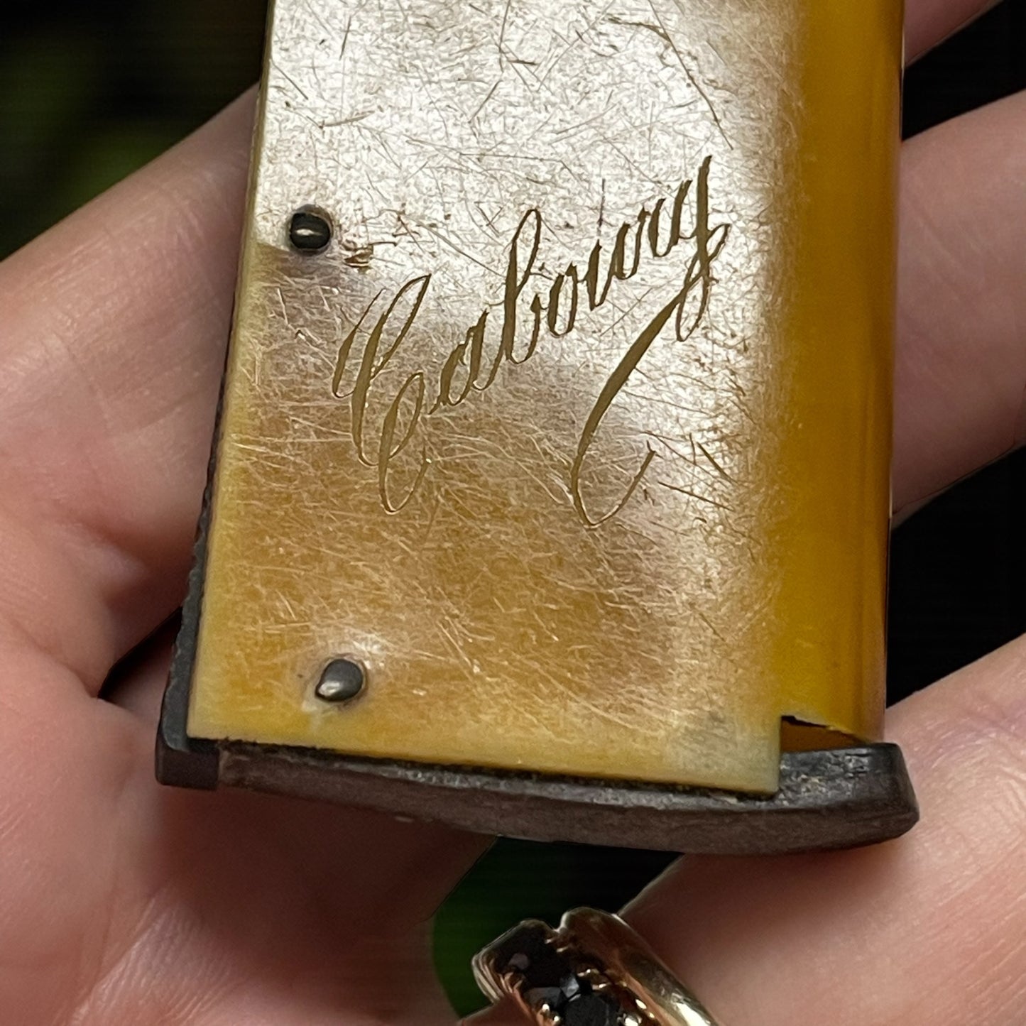 Vesta case giapponista in corno inciso, fine ‘800