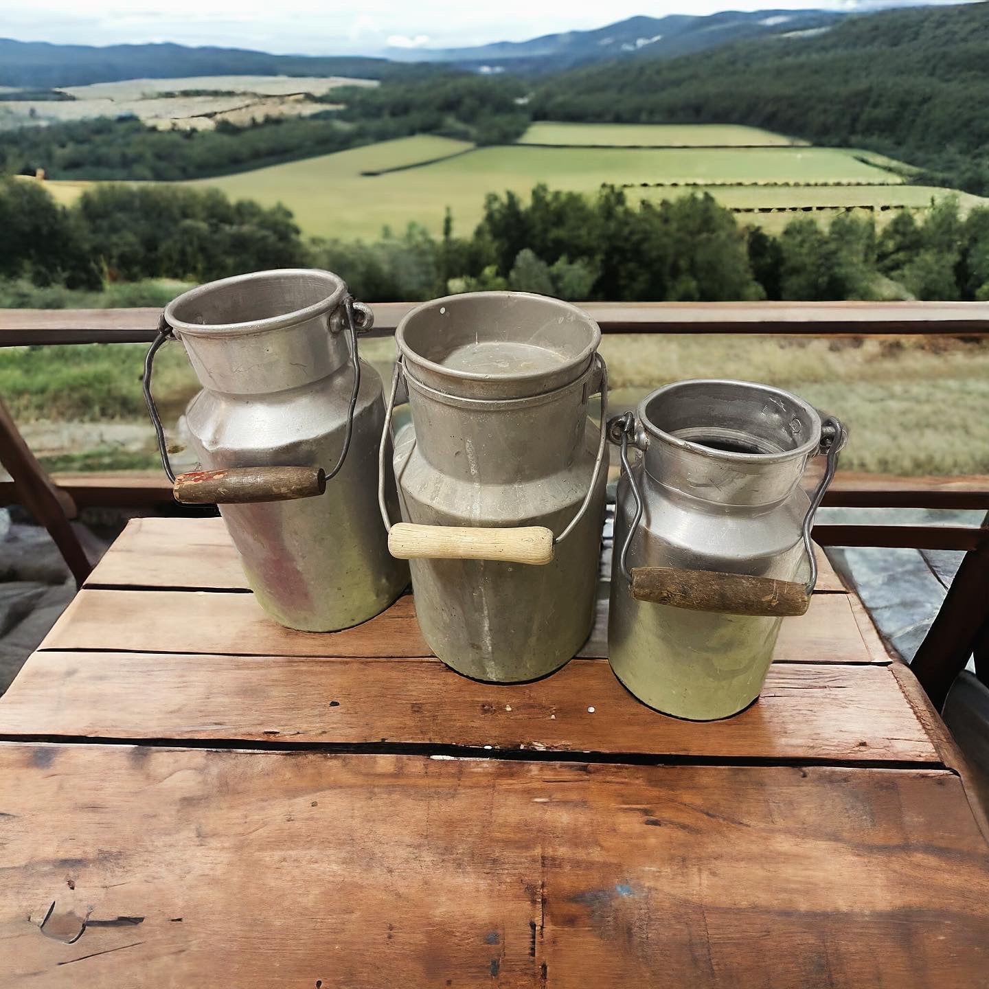 Bidoncini antichi per il latte