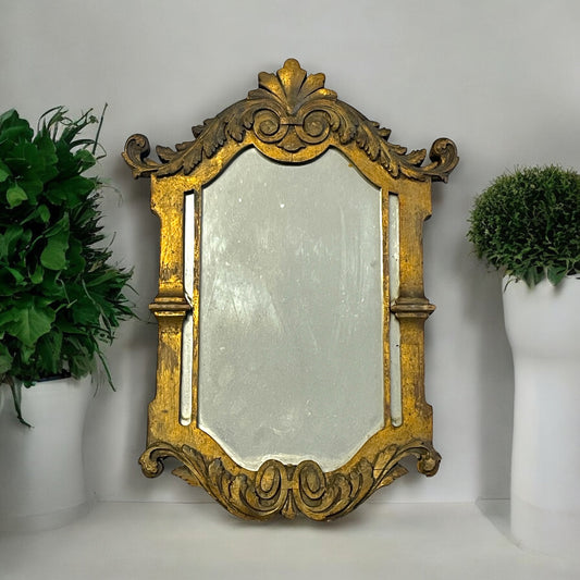 Coppia di specchi rococò, ottocenteschi