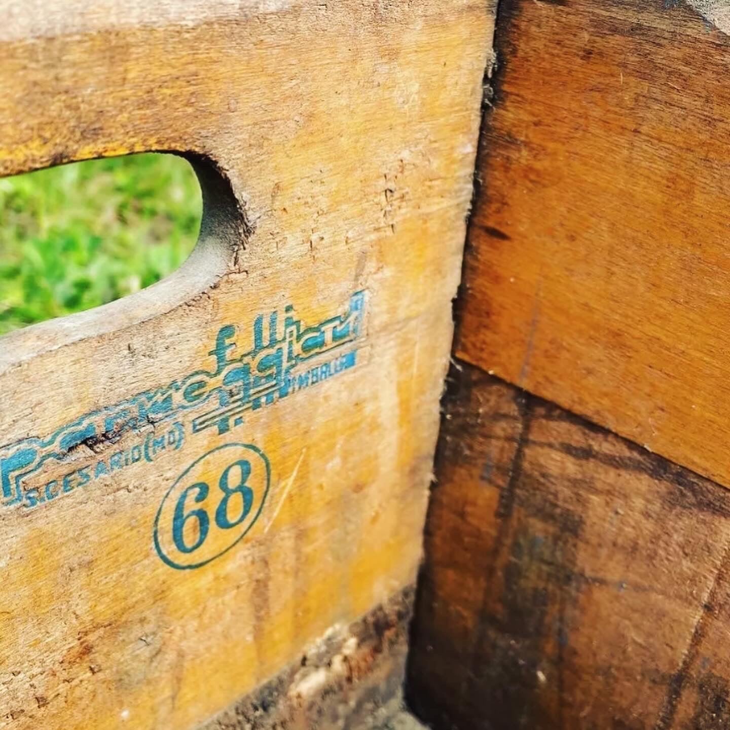 Antique Recoaro case