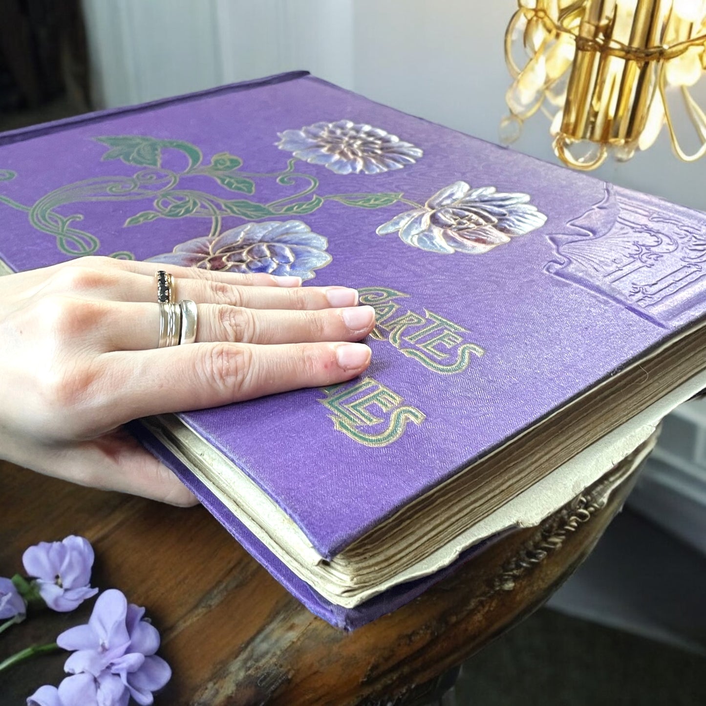 Album vuoto Art Nouveau viola con peonie, fine ‘800 - primo ‘900