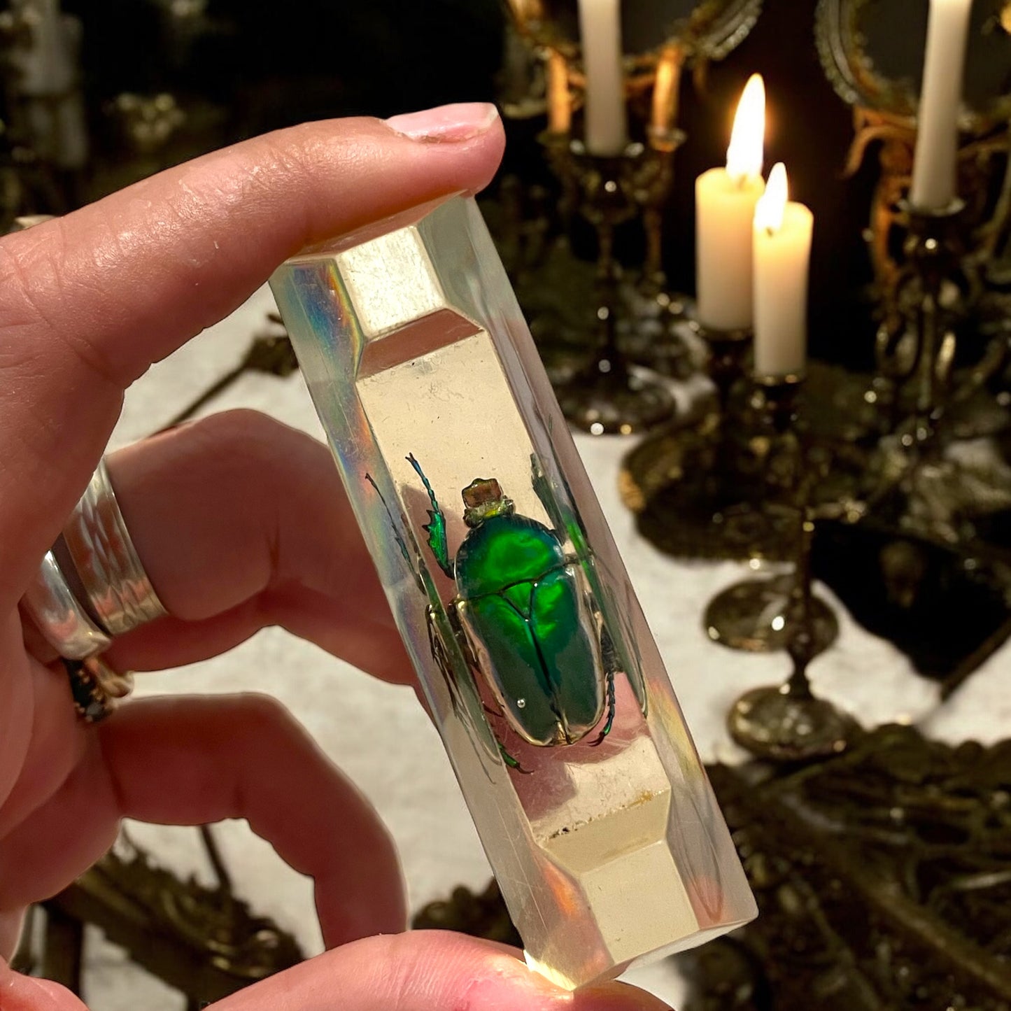 Esclusivo set poggia coltelli con veri scarabei