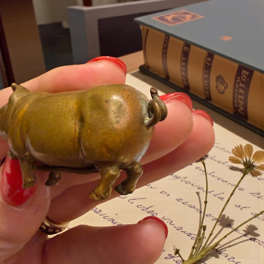 Spettacolare vesta case fine ‘800 a guisa di maialino