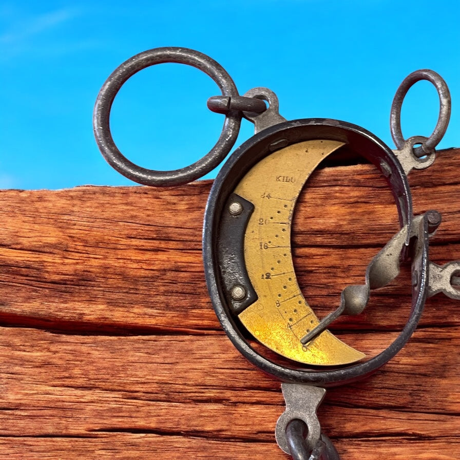 Bilancia ad occhio di bue