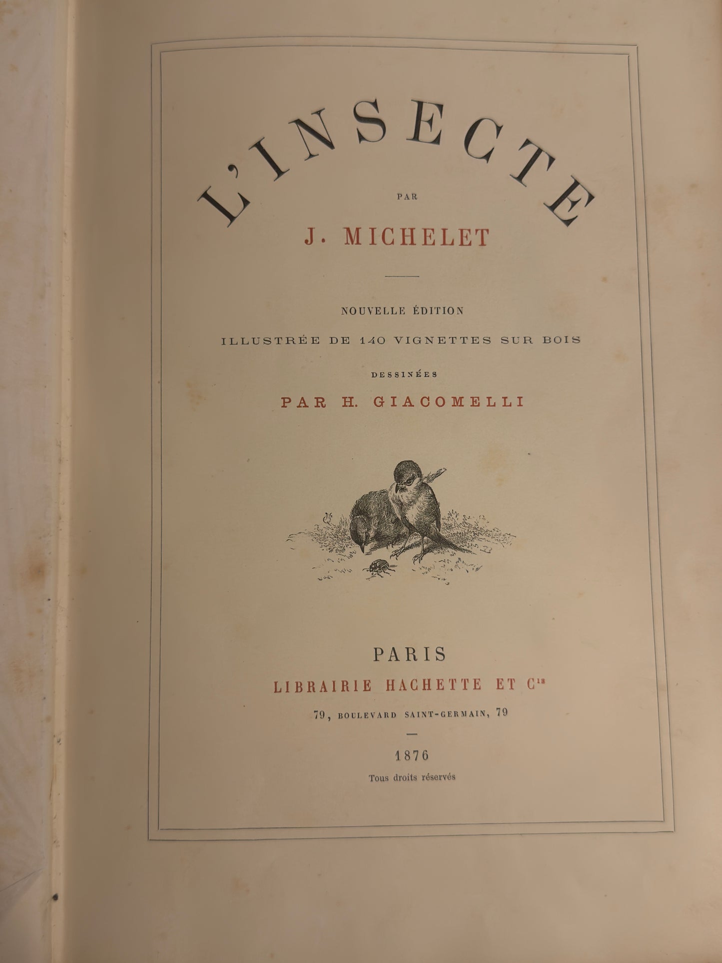 L’Insecte di Michelet, 1876, illustrato da Giacomelli con tavole a piena pagina e margini